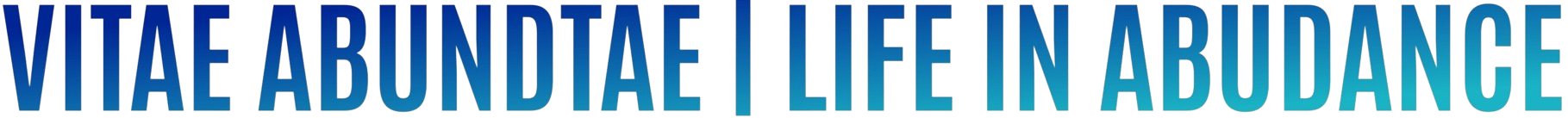 Pioneer Group of Schools logo